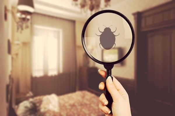 Combined Building and Pest Inspections Kinglake - Kingview Building Inspections 5-min